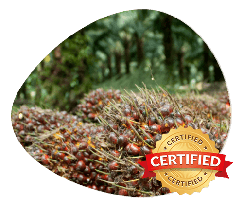 PT. Gulent Jaya Abadi profile(1)